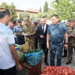 Қонун ва ҷомеа